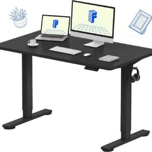 FLEXISPOT EN1 One-Piece Standing Desk, Electric Adjustable with 4 Memory Presets, 176 LBS Capacity, Stable & Quiet, Seamless Desktop for Home Office & Dual Monitors, 48"x24" Black